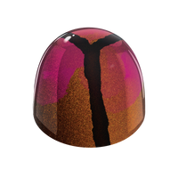 black-forest.png