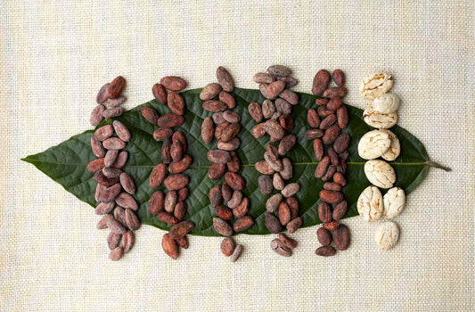 Working with Original Beans